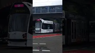 Freiburg Tram 🇩🇪 &bull; GT8C 256 &bull; Okenstra&szlig;e &bull; 30.05.2024