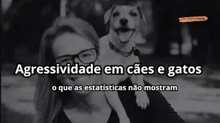 Agressividade em cães e gatos: o que as estatísticas não mostram