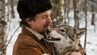 ВОЛК ЖДАЛ ХОЗЯИНА 5 ЛЕТ У КАЛИТКИ - История преданности, которая ПОТРЯСЛА МИР