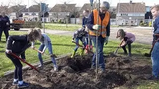 Boomfeestdag 2018 met de Molenhoek bij de kerkhovense Molen