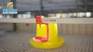 Yingbo Machinery is committed to manufacturing high-quality automated livestock breeding equipment.