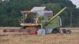 ✓ Żniwa z Claasą i Jelonkiem ✓ Jęczmień 9t/Ha?? ✓  GrŁęgowo 🔥 John Deere 6620🔥 Claas Dominator 108🔥