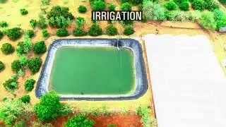 Hi-tech Fan and Pad Polyhouse - Capsicum cultivation - B FIT Farms, Vellore.TN