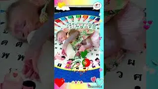 💛💚🩵  #cuteanimals #babymonky #monkeydluffy #monkeygirl #animals #animalshorts #monkeyvideo #cute