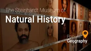 The Steinhardt Museum of Natural History Tel Aviv University  |  Israel