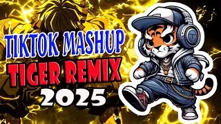New Tiktok Mashup Nonstop Tiger Remix  2025 🚀💥 Tiger Remix 11.2 🚀💥