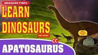 Learn Dinosaurs Apatosaurus