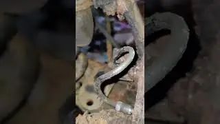 Removing the Brake Cylinder | Fixing Brakes for MOT | Mazda Porter Cab