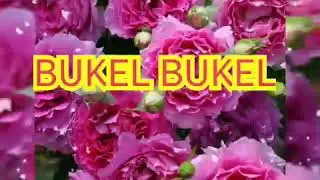 #Karaoke  #bukelbukel #ukel   BUKEL BUKEL KARAOKE