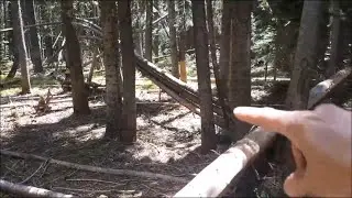 Story of Meeting Jacob / Amazing Capture  / Dtube Video