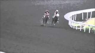 Blinkers On Horse Racing Partnerships Running Water 7/10/13