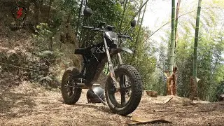 Powerful Carbon Fiber Electric Bike. Denzel Escort.