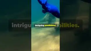 Exploring Dwarka: The Underwater Kingdom of Lord Krishna