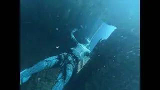 Apnea sul Relitto Elviscot a Pomonte Isola d'Elba.