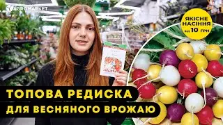 🌱 ЯКУ РЕДИСКУ СІЯТИ НАВЕСНІ | &ldquo;18 днів&rdquo;, &ldquo;Глорієт F1&rdquo;, &ldquo;Конфеті&rdquo; | Agro-Market.ua