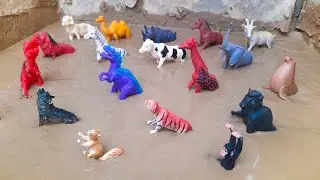 World's Biggest Animals Safari Animals Jungle Animals Two Dinosaurs Stuck in the Sandbox