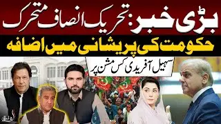 Big News: PTI Goes Dynamic | Government Anxiety Rises | Sohail Afridi’s New Mission | Alif Ailan