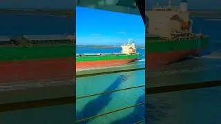 😱😱Insane close Ship to ship passing guided by Pilot #shorts #ship