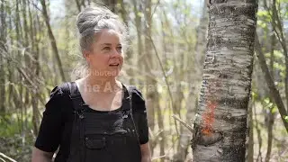 Still finding trouble in the woods: 'Blair Witch Project' star at center of Maine road dispute