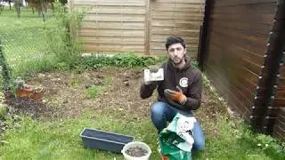 Accueillir la biodiversité dans son jardin_DIY4 : La friche mellifère, refuge pour la biodiversité