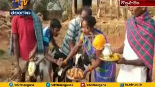 Goat Marriage | in Golla Palem at Sankranthi Festival | Vizag Dist