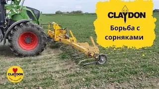 RUS Wheat inter-row cultivation with Claydon hoe TerraBlade
