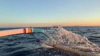Lovina sunrise & dolphins
