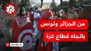 من تونس إلى رفح.. انطلاق قافلة الصمود بمشاركة نشطاء من تونس والجزائر والمغرب لكسر الحصار عن غزة