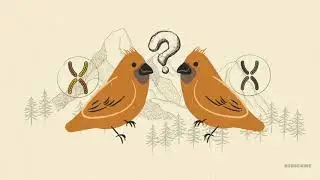 Designing Citizenship Science and Project-Based Learning Modules in Teaching Philippine Biodiversity
