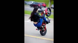 Model Crushing Wheelies on a Mini Bike Bike   #model #model  #custombike #bikelife  #motorcycle