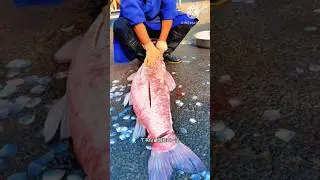 Big Silver Carp Fish Cutting l 🐟 l #shorts #viralshorts #fishcutting_skills #silvercarp