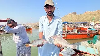fishing charna ireland sonera 23/10/2025 #fishing #fishingvideo #catchbigfish 