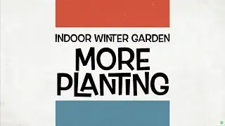 Indoor Winter Garden: More Planting, SEED TO HARVEST. More lights, more dirt and other updates