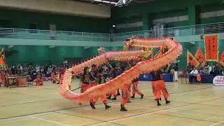 【全港公開龍獅藝錦標賽2025】 郭氏功夫金龍醒獅團 冠軍 Champion 20251221