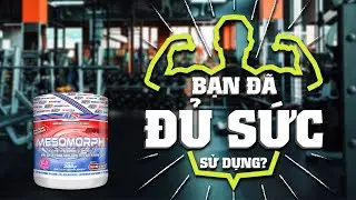 Mesomorph - Liệu Bạn Đ&atilde; Đủ Mạnh Để D&ugrave;ng