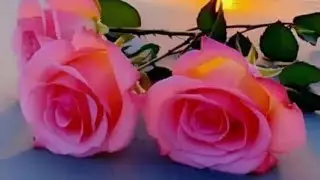 ACHARYA ABHISHEK JI MAHARAJ  लाइव है!