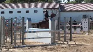 Qualin et moi, Inter-Rochelais Clear, club 1