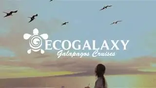 How is cruising onboard an eco-friendly boat in the Galapagos Islands? Discover the Ecogalaxy!