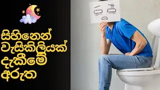 Toilet Dream Meaning Sinhala | සිහිනෙන්  වැසිකිළියක් දැකීමේ අරුත  | Sihina Palapala