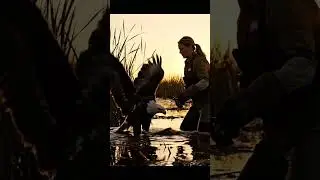 009 cinematic realistic short film a eagle 33372305 #animalrescue #animals #wildliferescue