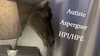 Pr&eacute;cision.. asperguer, autiste , HP&hellip;