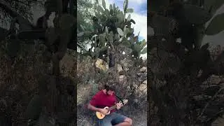 Desert pilgrimage 🌵