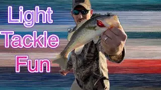Light Tackle Fun!!!
