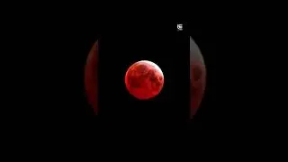 Eclipse of the Moon 🌙 16th May 2022 #lunareclipse #bloodmoon