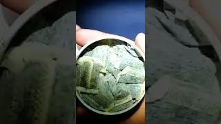 КОГДА ПОПРОБОВАЛ ЖЕВАТЕЛЬНЫЙ ТАБАК SWAG  #shorts #snus