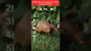Guess The 7 Zoo AnimalsBy Their Missing Letters