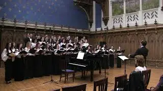 Cântecul păcurariului (The shepherd's song), de Vinicius Grefiens