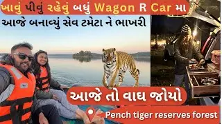 સંપૂર્ણ ભારત ની યાત્રા મા આજે Wagon R Car ના રસોડામાં બનાવ્યા સેવ ટમેટા | પેંચ ફોરેસ્ટમાં ટાઇગર જોયો