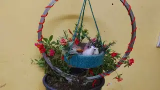 Beautiful planter for beautiful purslane plant .#planterideas#planterdiy#purslane