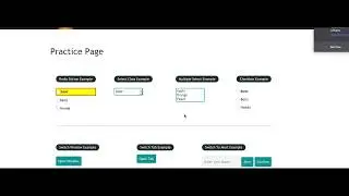 Highlight the Elements using Selenium